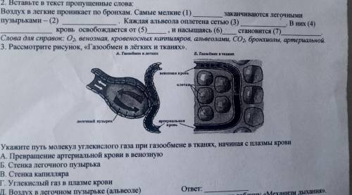 , сделайте 2 и 3 задание которое в закрепе. дам 30 б