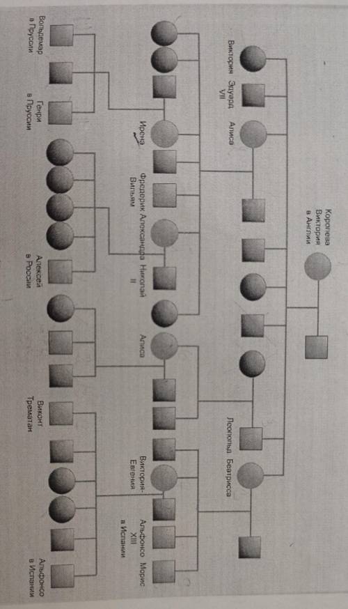 Используя генеалогическое древо королевы Виктории, рассчитатйте индекс отягощенности гемофилии (J) д