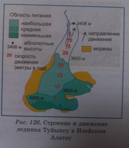 Изучите строение ледника Туйыксу по рисунку 126. Установите:1) в пределах каких абсолютных высот он