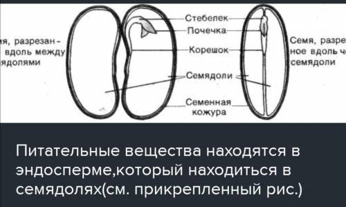 Где находится рубчик с отверстием для воздуха и воды?