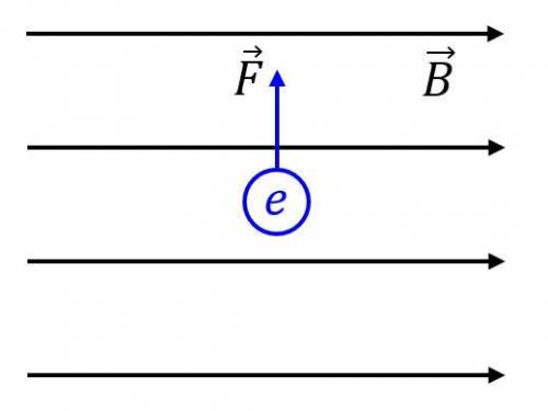 (ОЧЕНЬ )На ЭЛЕКТРОН, движущийся в однородном магнитном поле, действует сила так, что в какой то моме