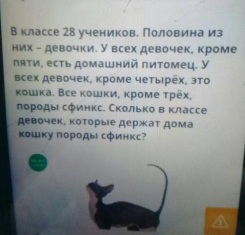 В классе 28 учеников. Половина из них - девочки. У всех девочек, кроме пяти, есть домашний питомец.