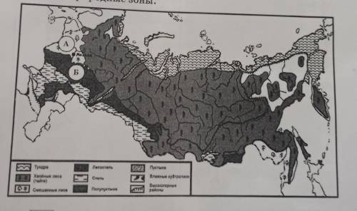 3 Рассмотри карту России. На ней буквами А и В отмечены две природные зоны. an Б А 3 Лесосталь а тун