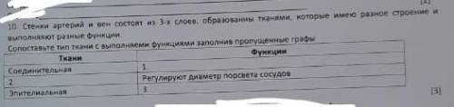 Ткани, регулируют диаметр просвета сосудов функции.