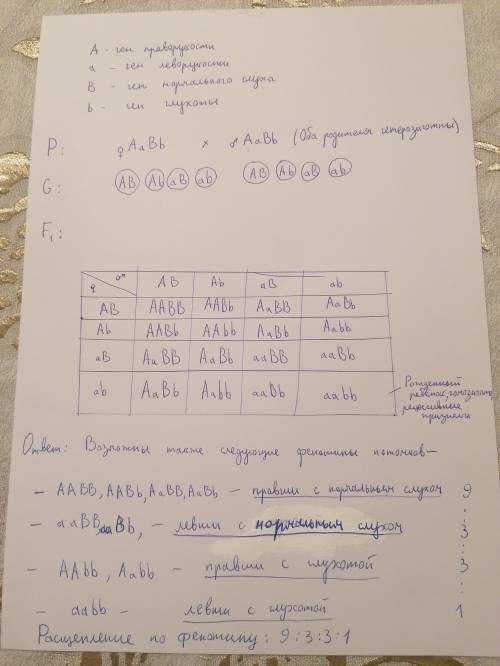 У человека ген праворукость доминирует леворукость , нормальный слух доминирует над глухотой. У прав