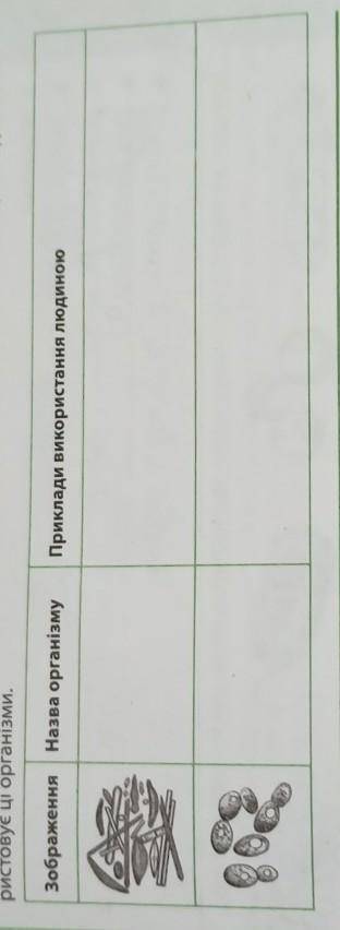 розгляньте зображені одноклітинні організми, укажіть їхні назви та поясніть, як людина використовує