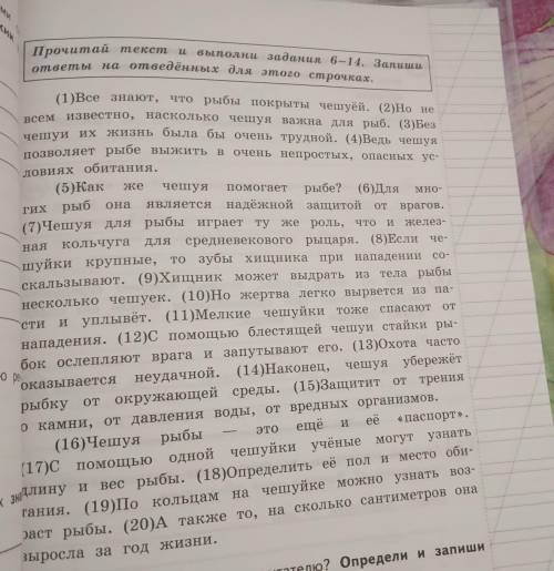 12) Выпиши из 10-го предложения все имена существительные е в той форме, в которой они употреблены в