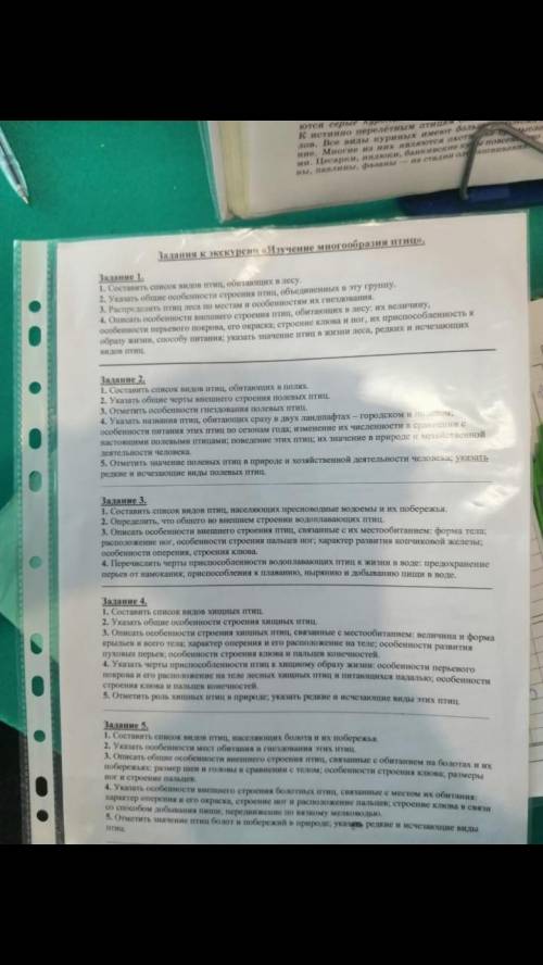 задание 2 про полевых птиц!