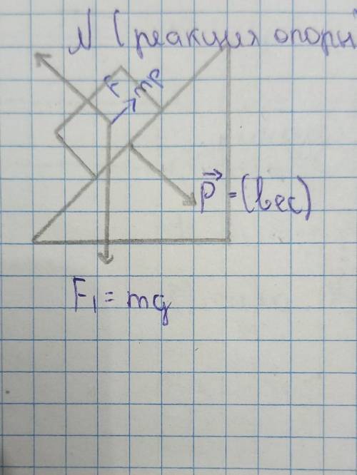 Какие силы действуют на тело?(фото прикреплено)