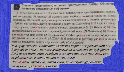 Спишите предложения, вставляя пропущенные буквы. Объясните написание вставленных орфограмм. 1) Муму