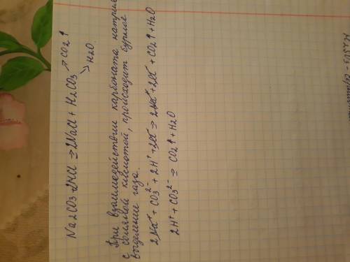 к 2 мл раствора углекислого натрия Na2Co3 прилейте 2 мл раствора, соляной кислоты и размешать. Запис
