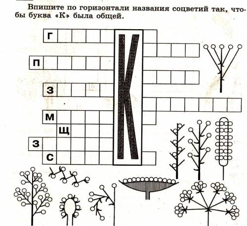 Впишите по горизонтали названия соцветий так, что-бы буква К была общей