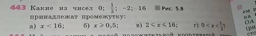 Какие из чисел 0; 1/2-если что дробная 2; 16 принадлежат промежутку а)х<16б)х≥0,5в)2≤х≤16г)0<х