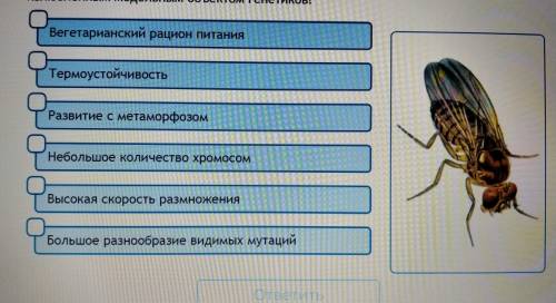 Какие из перечисленных признаков позволили плодовой мушки дрозофиле стать излюбленным модельным объе