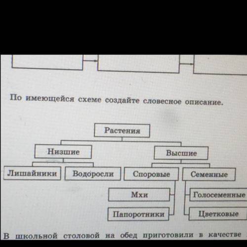 По имеющейся схеме создайте словесное описание