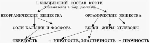 Составьте и запишите схему опыта, с которого можно доказатьчто в состав кости входят минеральные сол