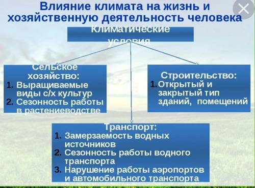 Позитивные и негативные особенности хозяйственной деятельности людей на Европейском севере