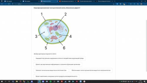 ответьте умоляю на вопрос прикрепленный ниже.