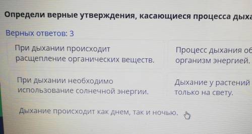 Определите верные утверждения касающихся процесса дыхания верных ответов 3 дыхания происходит как дн