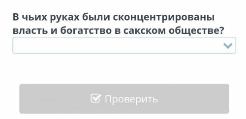 в чьих руках были сконцентрированы власть и богатство в сакском обществе? царей? жребцов? вождей? ре