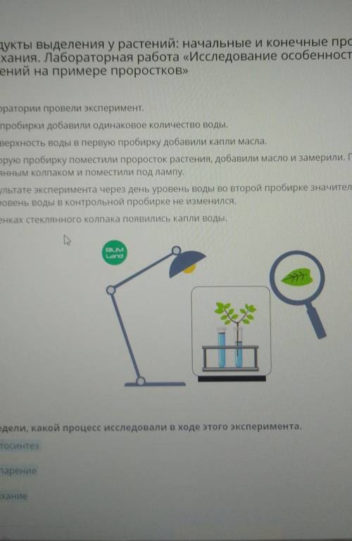 Апредели какой процес исследовали в ходе этого эксперимент