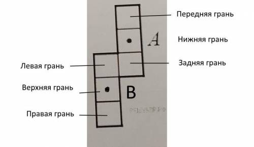 На нижней грани куба отмечена точка А, а на верхней — точка В. На разветке куба отмечена точка А. От