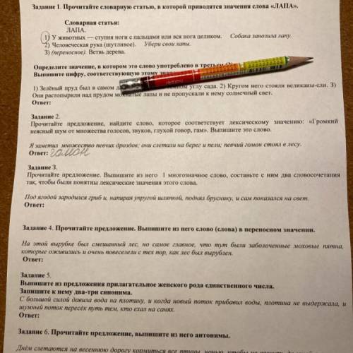 Задание З. Прочитайте предложение. Выпишите из него 1 многозначное слово, составьте с ним два словос