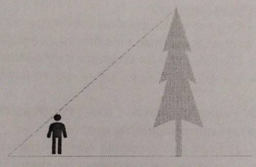 ТЕМА ПОДОБИЕ ТРЕУГОЛЬНИКОВ Тень от человека ростом 180 см в яркий солнечный день в полдень равна 1