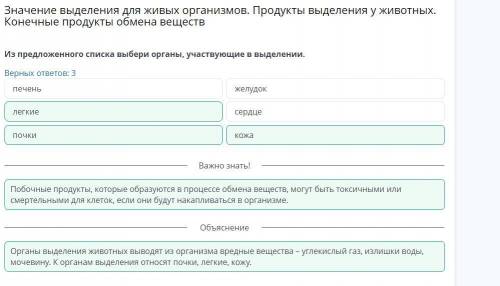 Из предложенного списка выбери органы, участвующие в выделении. Верных ответов: Легкие Печень ПОЧКИ