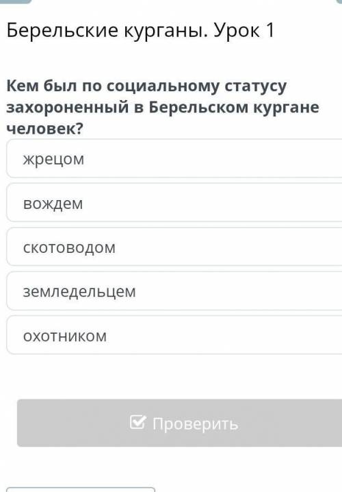 Кем был по социальному статусу захороненный в Берельским Кургане человек?