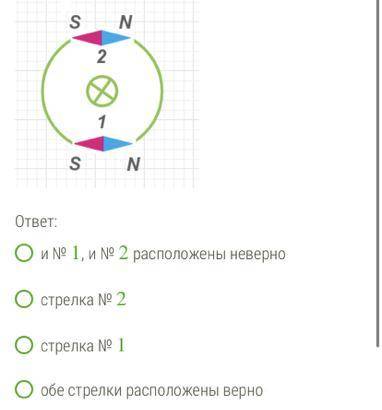 Укажи, какая из магнитных стрелок на рисунке расположено верно Внимательно рассмотри рисунок и выбер