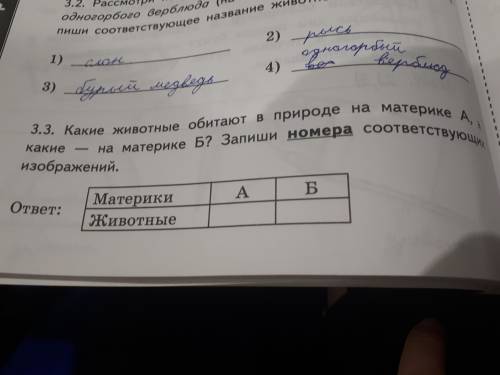 какие животные обитают в природе на материке А(Африка) а какие на материке Б(Северная Америка) ? Зап