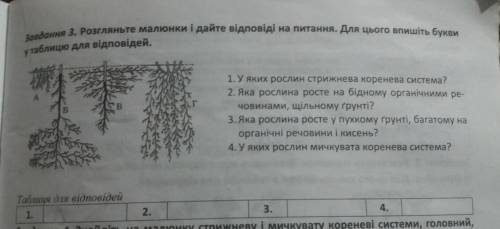 Розгляньте малюнки і дайте відповіді на питания. Для цього впишіть букви таблицю для відповідей. 1.