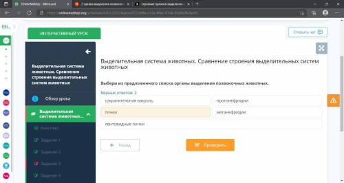 Биология онлайн мектеб первое почки второене знаешь подскажи