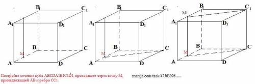 Постройте сечение куба АВСDA1B1C1D1, проходящее через точку M, принадлежащей AB и ребро СС1.
