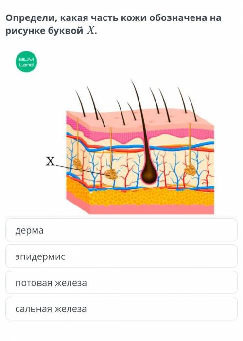 Кио ответит тому на каспи 5 руб