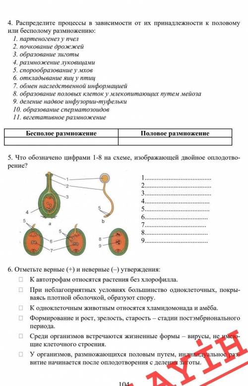 хотя бы с двумя вопросами