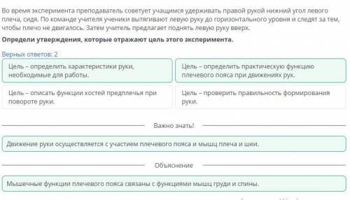 Работа мышц. Демонстрация «Работа Основных мышц, роль плечевогопояса в движениях руки. Регуляциямыше