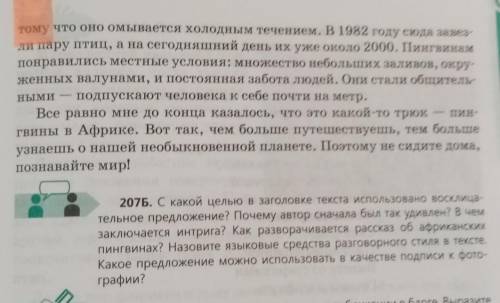 Пингвины в Африке! Продолжаю свое путешествие по Африке. Се- Пингвин годня были на экскурсии на пляж