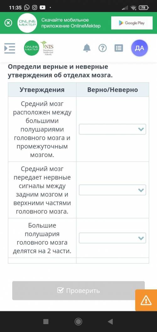 Определи верные и неверные утверждения об отделах мозга. (((