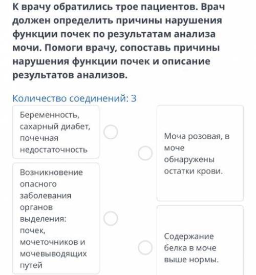 Строение и функции органов мочевыделительной системы (почки, мочеточник, мочевой пузырь, мочеиспуска