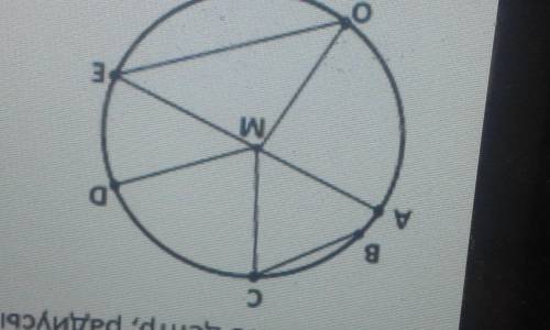 решить-Укажите центр,радиусы,хорды и диаметры окружности.