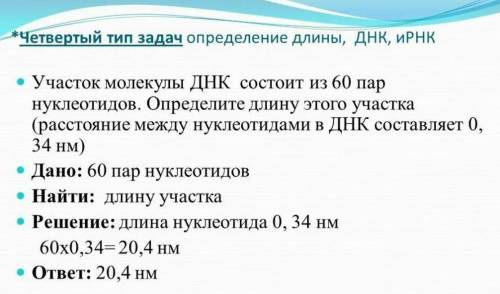 Одна из цепей ДНК содержит 60 нуклеотидов. Какова длина и масса этой ДНК?