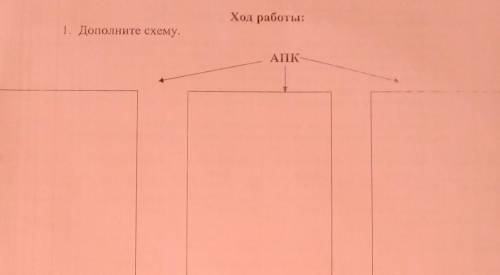 Ход работы: 1. Дополните схему. АПК