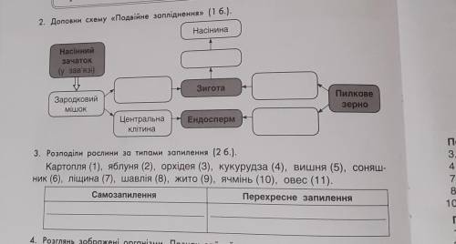 ЗА 2 ВЫПОЛНЕНИХ ЗАДАНИЯ 2,3.