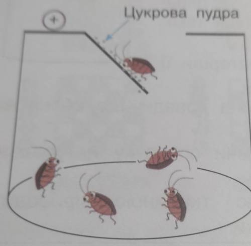 Для боротьби, наприклад, із тарганами було винайдено електростатичну паст ку. Принцип overline pi ді