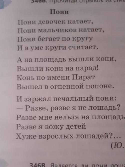 Вопросы по тексту пони ромашка блума ж