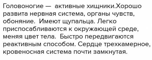 Головоногих моллюсков считают наиболее развитыми по сравнению с представителями остальных классов мо