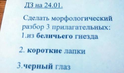 Сделать морфологический разбор 3 прилагательных: 1.из беличьего гнезда 2. короткие лапки 3.черный гл