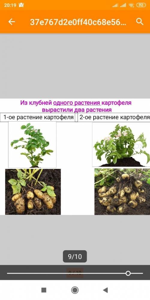 Выполните лабораторную работу